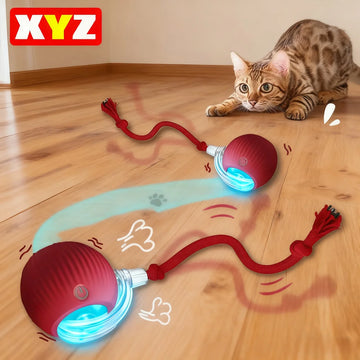 The Play Instinct Ritual Ball