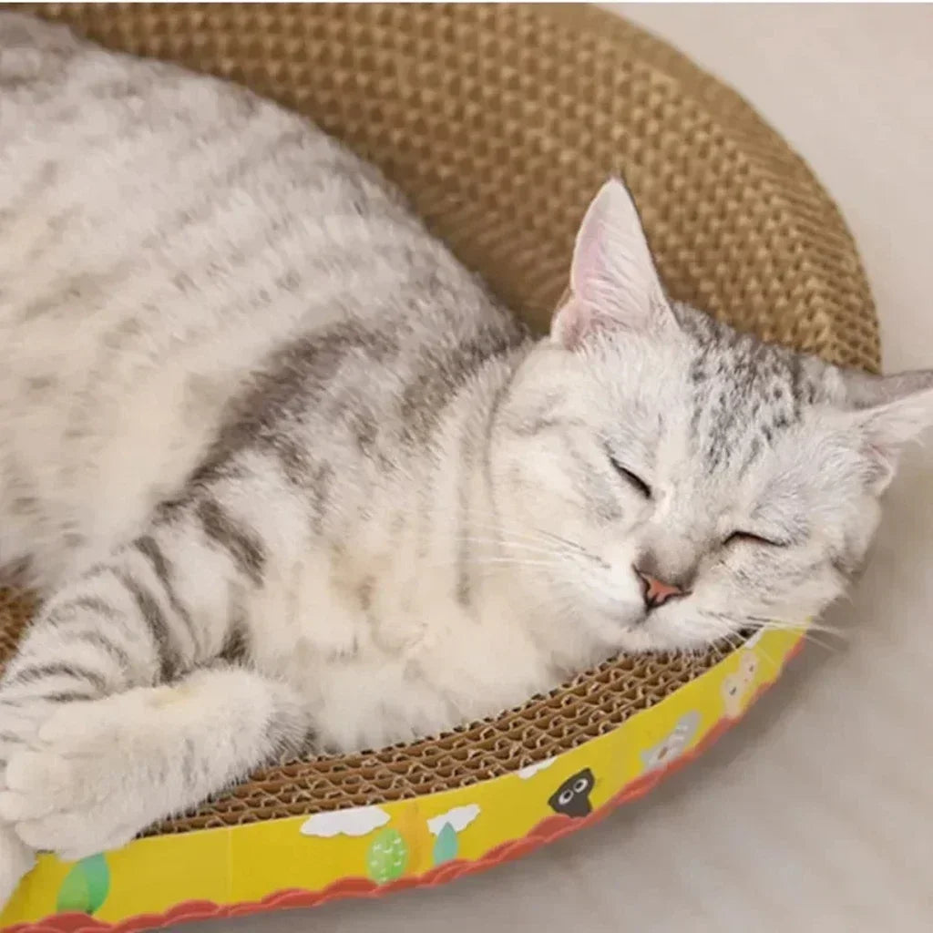 Cat Scratching Nest Board