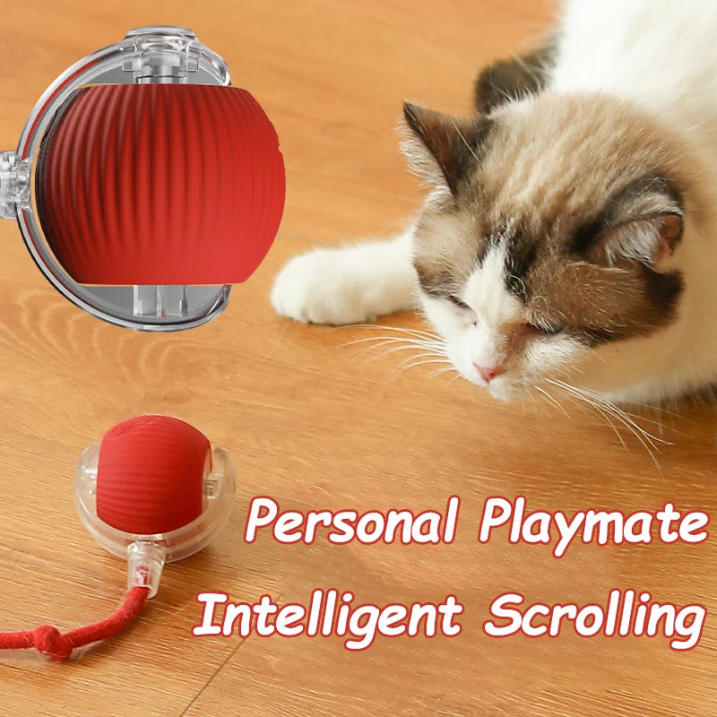 The Play Instinct Ritual Ball
