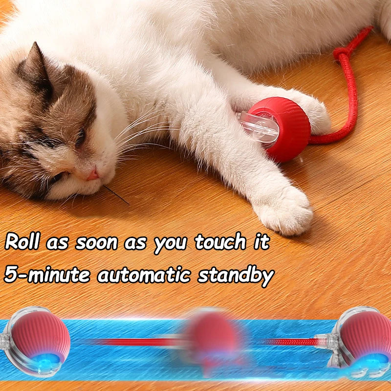 The Play Instinct Ritual Ball